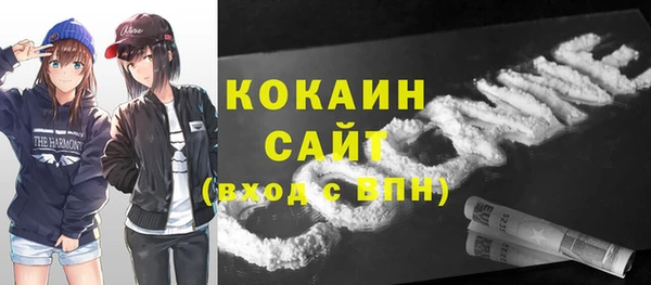 индика Заволжье