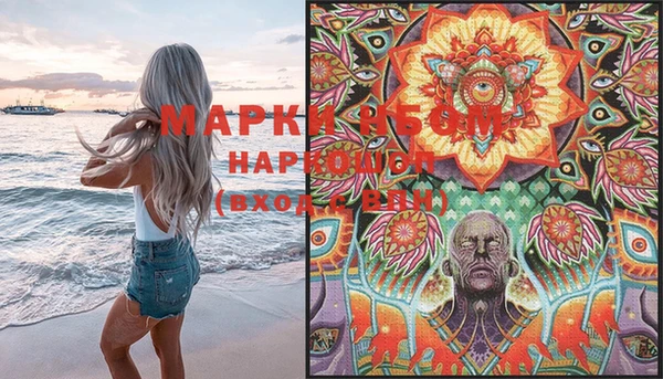 индика Заволжье