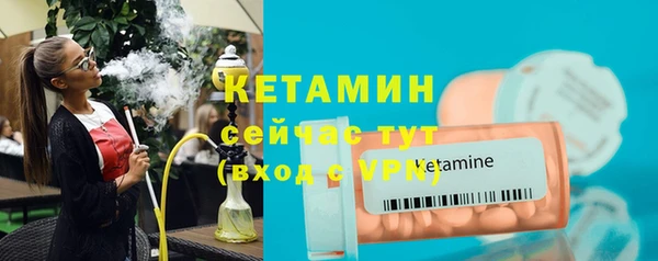 индика Заволжье