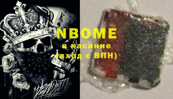 индика Заволжье