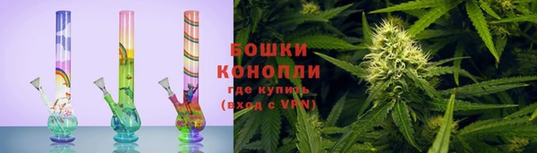индика Заволжье