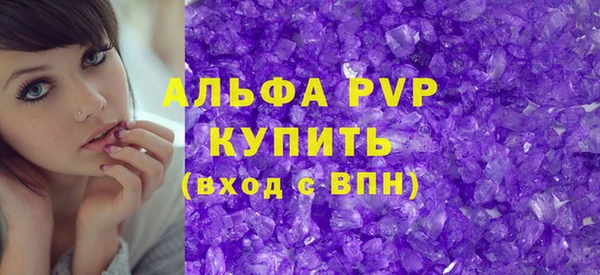 индика Заволжье