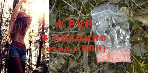 индика Заволжье