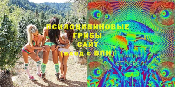 индика Заволжье