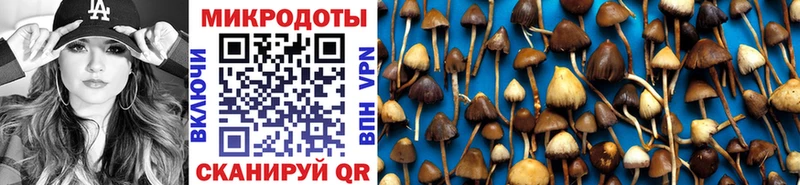 площадка Telegram  купить наркоту  Иланский  Галлюциногенные грибы мухоморы 