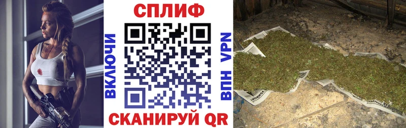 Марихуана планчик Иланский